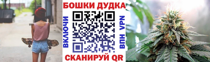 где купить   Заволжск  Каннабис MAZAR 